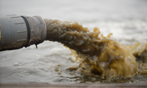 photo of a PVC pipe disgorging a high volume of greenish-brown wastewater into a body of freshwater